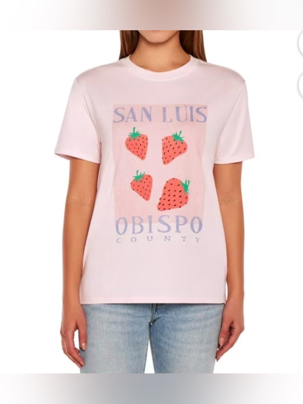 Wildfox Women’s T-Shirt Size Large -San Luis Obispo Strawberry Tee 🍓